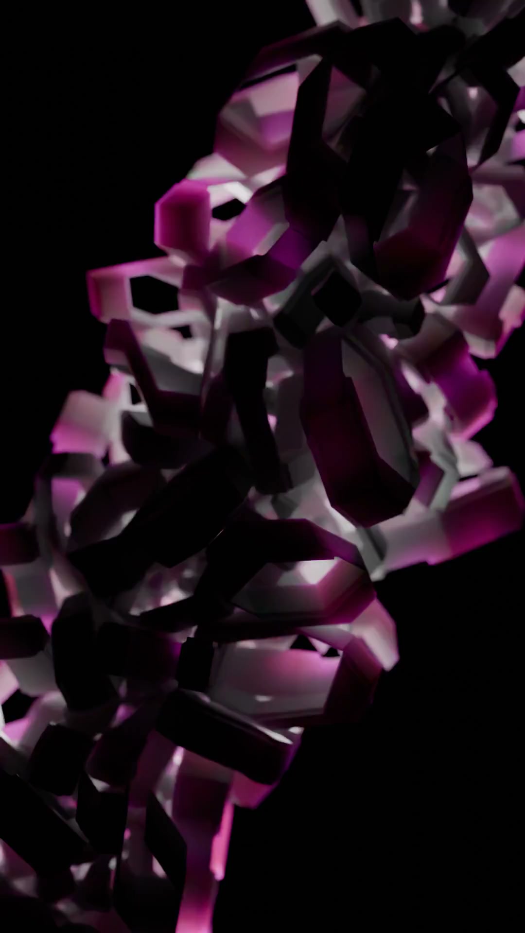Showcase image 4